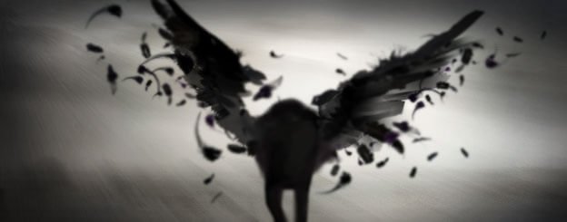 mystery mothman winged man
