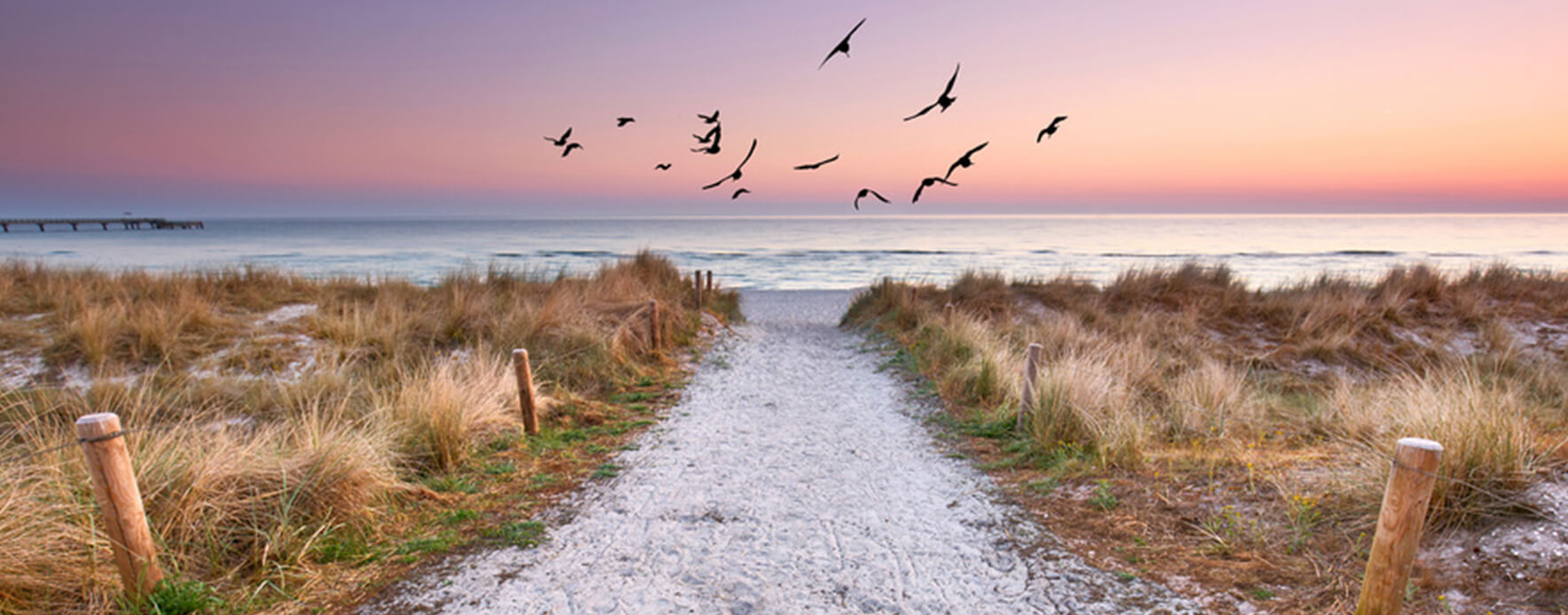 Serenity Prayer – Full Version, 7 Benefits and its History