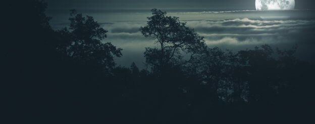 dark night of the
