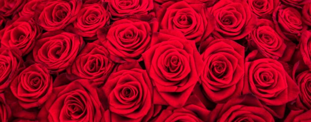 stop and smell the roses