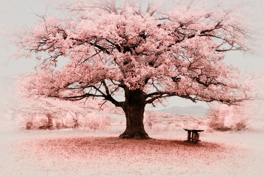 Soul Age – Everything You Need to Know About it!