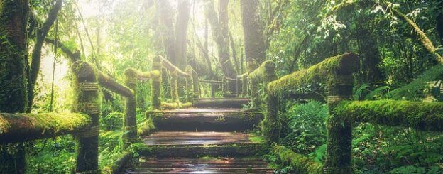 spiritual intentions