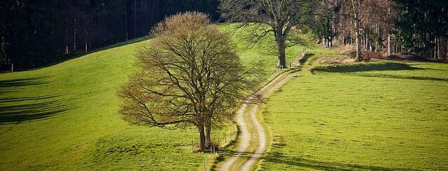 meditative walk