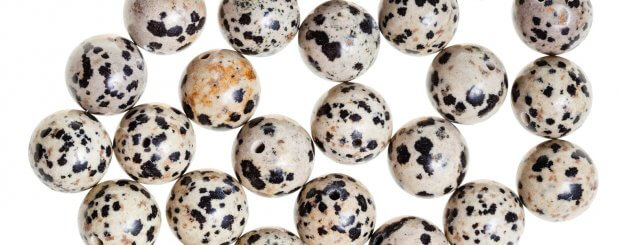Dalmatian Jasper