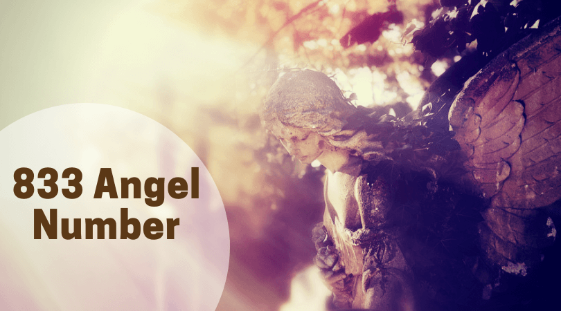 Exploring the 833 Angel Number!