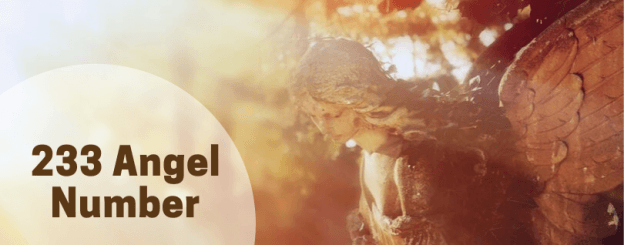 233 Angel Number