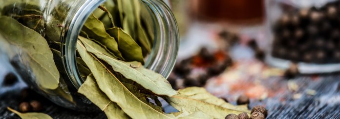 Burning Bay Leaves