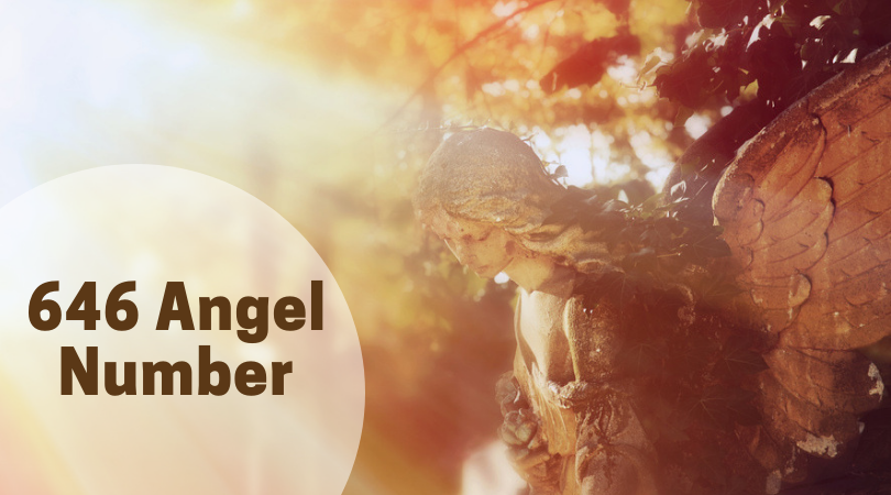646 Angel Number