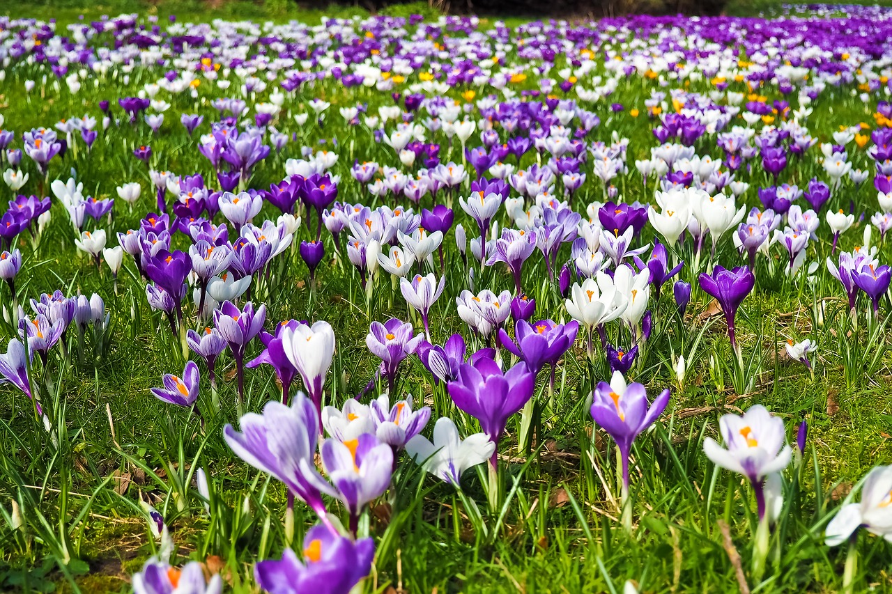 first day of spring