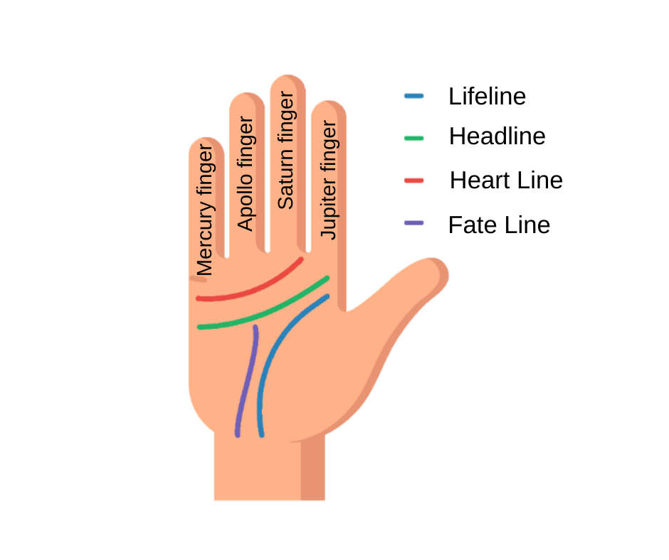 Palm reading lines detail